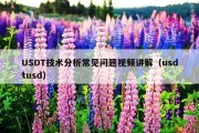USDT技术分析常见问题视频讲解（usdtusd）
