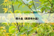 西小品（西游戏小品）