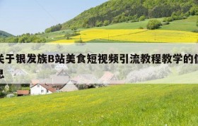 关于银发族B站美食短视频引流教程教学的信息