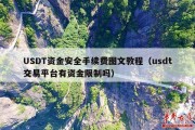 USDT资金安全手续费图文教程（usdt交易平台有资金限制吗）