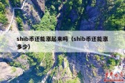 shib币还能涨起来吗（shib币还能涨多少）