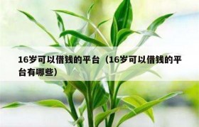 16岁可以借钱的平台（16岁可以借钱的平台有哪些）