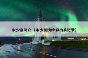 朱少泉简介（朱少泉浅绛彩拍卖记录）