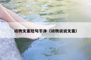 动物文案短句干净（动物说说文案）