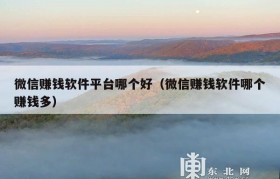微信赚钱软件平台哪个好（微信赚钱软件哪个赚钱多）