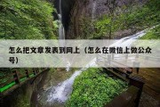 怎么把文章发表到网上（怎么在微信上做公众号）