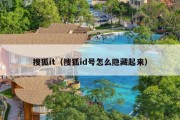 搜狐it（搜狐id号怎么隐藏起来）