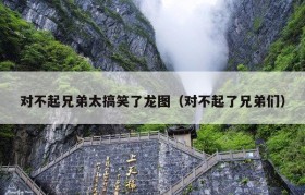 对不起兄弟太搞笑了龙图（对不起了兄弟们）