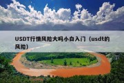 USDT行情风险大吗小白入门（usdt的风险）