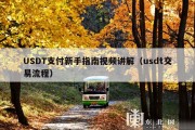 USDT支付新手指南视频讲解（usdt交易流程）