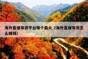 海外直播带货平台哪个最火（海外直播带货怎么赚钱）