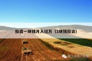 投资一块钱月入过万（1块钱投资）