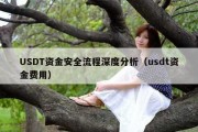 USDT资金安全流程深度分析（usdt资金费用）