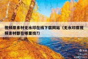 视频原素材无水印在线下载网站（无水印原视频素材都在哪里找?）