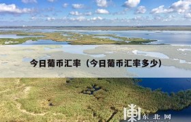 今日葡币汇率（今日葡币汇率多少）