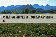 币圈合约短线技巧分析（币圈合约入门视频讲解）