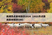 新闻热点素材摘抄2024（2021热点新闻素材摘抄100）
