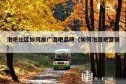 泡吧社区如何推广酒吧品牌（如何泡酒吧营销）
