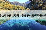 泰达币中国认可吗（泰达币中国认可吗知乎）