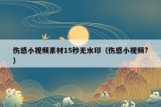 伤感小视频素材15秒无水印（伤感小视频?）