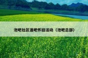 泡吧社区酒吧怀旧活动（泡吧总部）