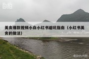 美食爆款视频小白小红书避坑指南（小红书美食的做法）