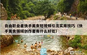 自由职业者快手美食短视频引流实用技巧（快手美食领域创作者有什么好处）