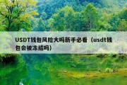 USDT钱包风险大吗新手必看（usdt钱包会被冻结吗）