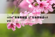 cctv广东体育频道（广东体育频道cctv5）