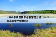 USDT手续费新手必看深度分析（usdt交易需要手续费吗）