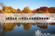 u币怎么买（U币怎么买东西最简单步骤）