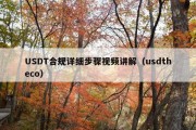 USDT合规详细步骤视频讲解（usdtheco）