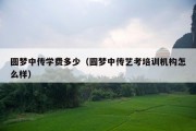 圆梦中传学费多少（圆梦中传艺考培训机构怎么样）