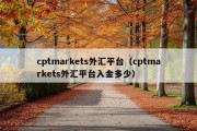 cptmarkets外汇平台（cptmarkets外汇平台入金多少）