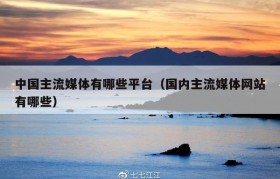中国主流媒体有哪些平台（国内主流媒体网站有哪些）