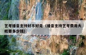 艺考播音主持好不好走（播音主持艺考费用大概要多少钱）