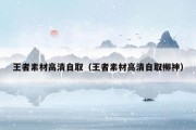 王者素材高清自取（王者素材高清自取柳神）