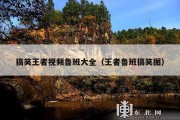 搞笑王者视频鲁班大全（王者鲁班搞笑图）