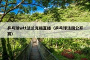 乒乓球wtt法兰克福直播（乒乓球法国公开赛）