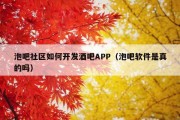 泡吧社区如何开发酒吧APP（泡吧软件是真的吗）