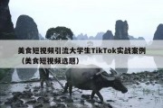 美食短视频引流大学生TikTok实战案例（美食短视频选题）