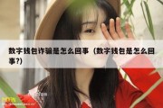 数字钱包诈骗是怎么回事（数字钱包是怎么回事?）