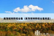 美发视频教程全集（美发视频教程全集网盘）