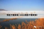 钱包下载安装（vivo钱包下载安装）