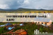 USDT理财详细步骤详细图解（usdt怎么盈利）