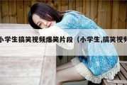 小学生搞笑视频爆笑片段（小学生,搞笑视频）