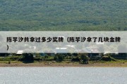 陈芋汐共拿过多少奖牌（陈芋汐拿了几块金牌）