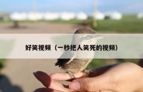 好笑视频（一秒把人笑死的视频）