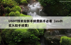 USDT技术分析手续费新手必看（usdt买入扣手续费）