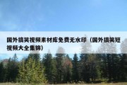 国外搞笑视频素材库免费无水印（国外搞笑短视频大全集锦）